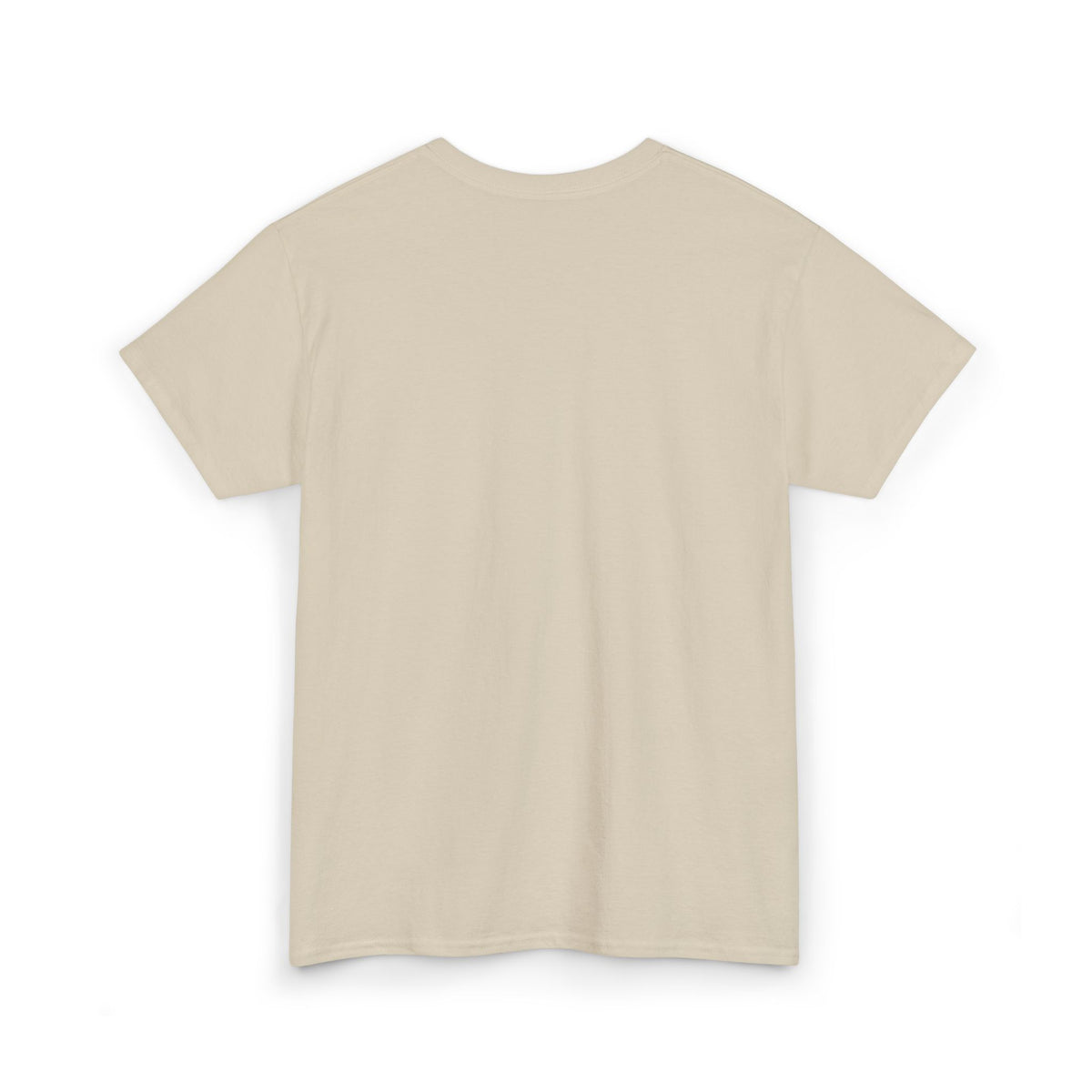Plain White T-Shirt