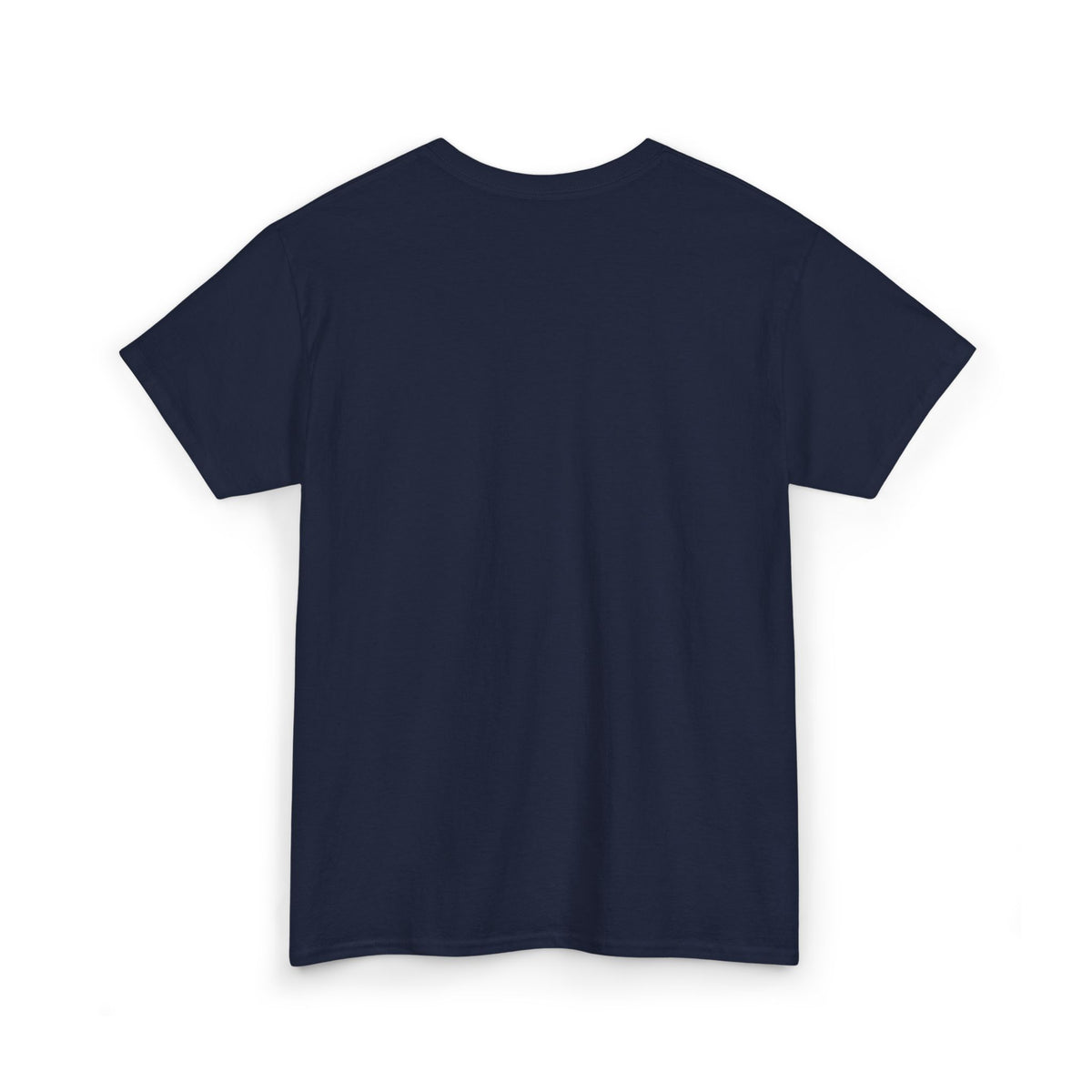 Plain White T-Shirt